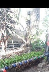 Amanat dari Tan Sri Presiden Sempena Lanjutan PKPB