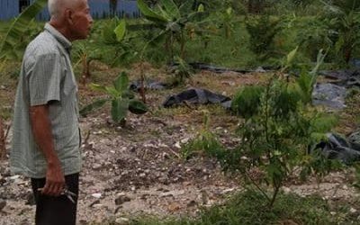 Kebun Ditengah Bandar Seorang Pesara